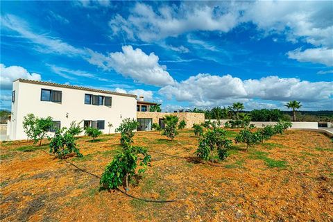 Finca Camposssa, Mallorca, Campos - € 3 150 000 | Viite: 46523 - valokuva 2